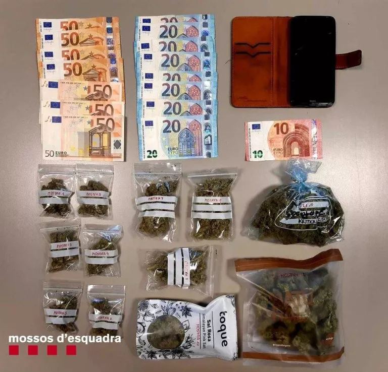 Detingut un veí de Montanui per traficar amb marihuana a Aran