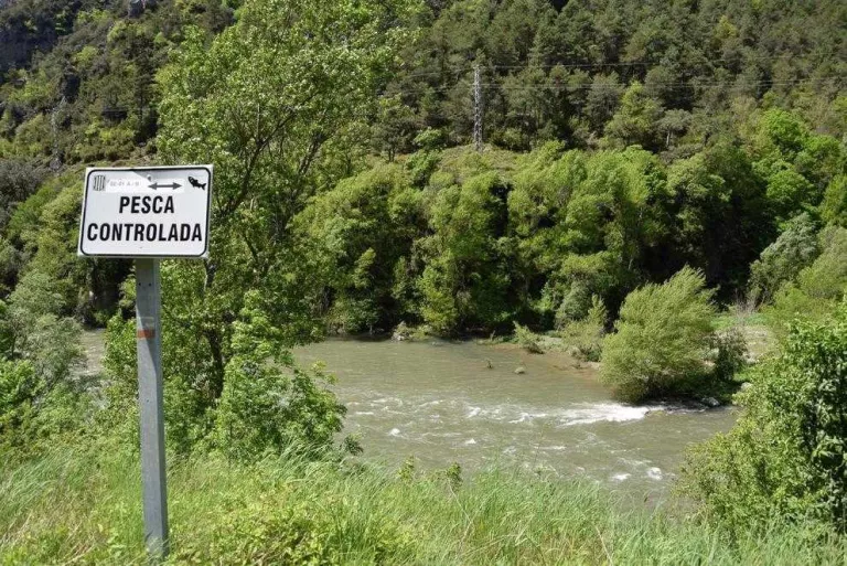 Demanen autoritzar la pesca als vedats dels rius Segre i Valira