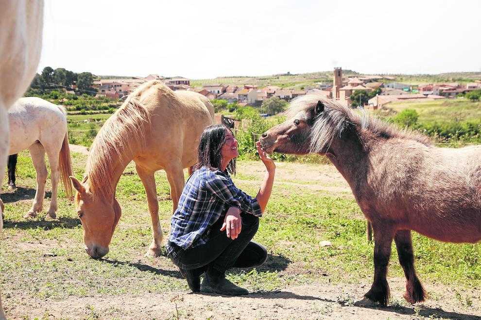 Un oasi per a cavalls al límit