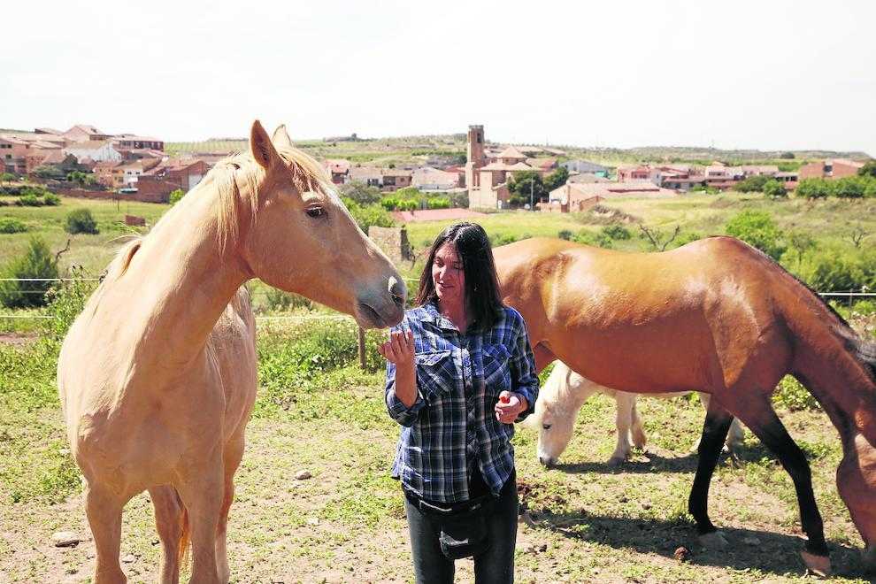 Un oasi per a cavalls al límit