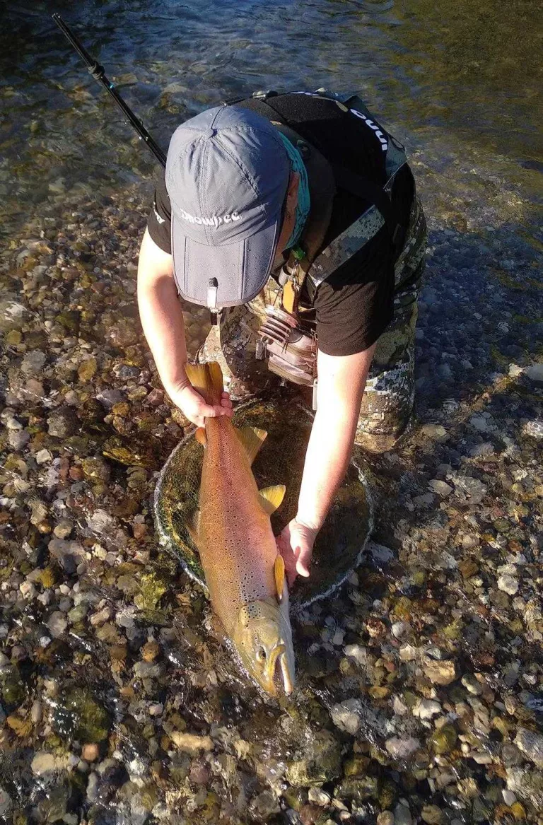 Reprenen la pesca recreativa mentre la caça segueix a l'espera