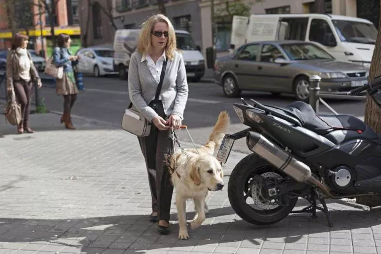 Publiquen una guia amb recomanacions en la desescalada per a persones cegues