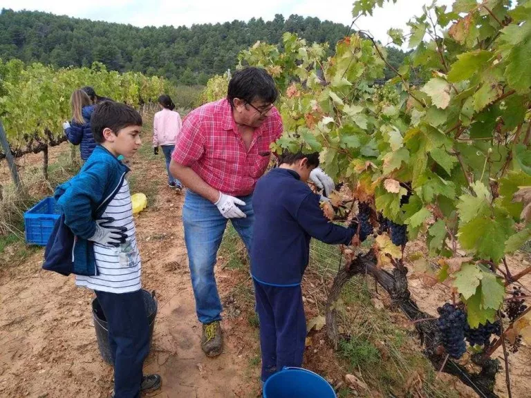 Tres cellers de Lleida ofereixen visites gratuïtes als sanitaris