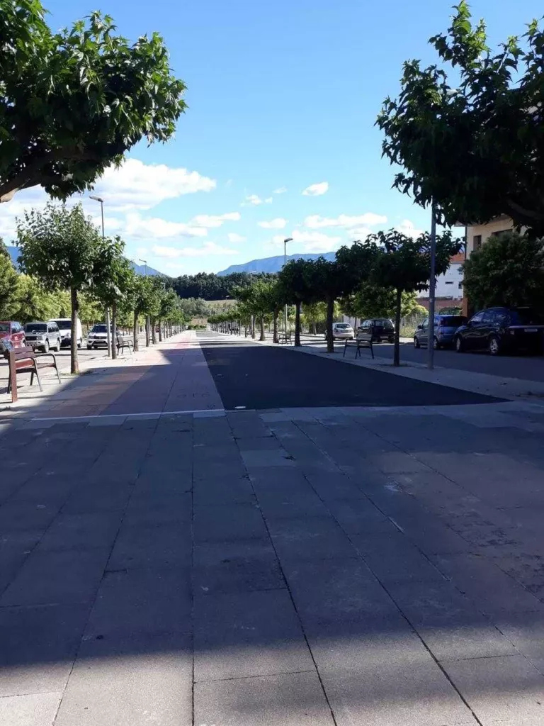 Tremp tala 44 arbres perquè taquen carrers i voreres