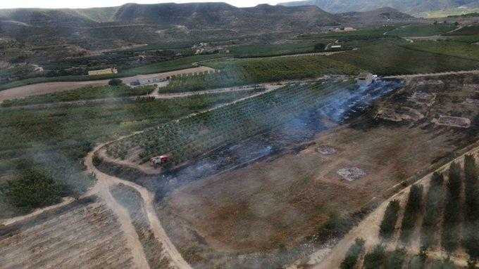Incendis de vegetació a la Granja i Lleida