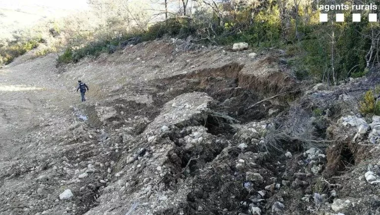 Denunciat per destruir terreny forestal al Jussà