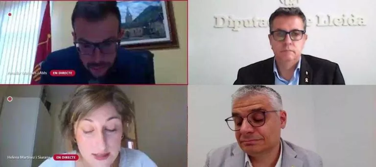 El president, Joan Talarn, a dalt a la dreta, i altres diputats al ple telemàtic d’ahir.