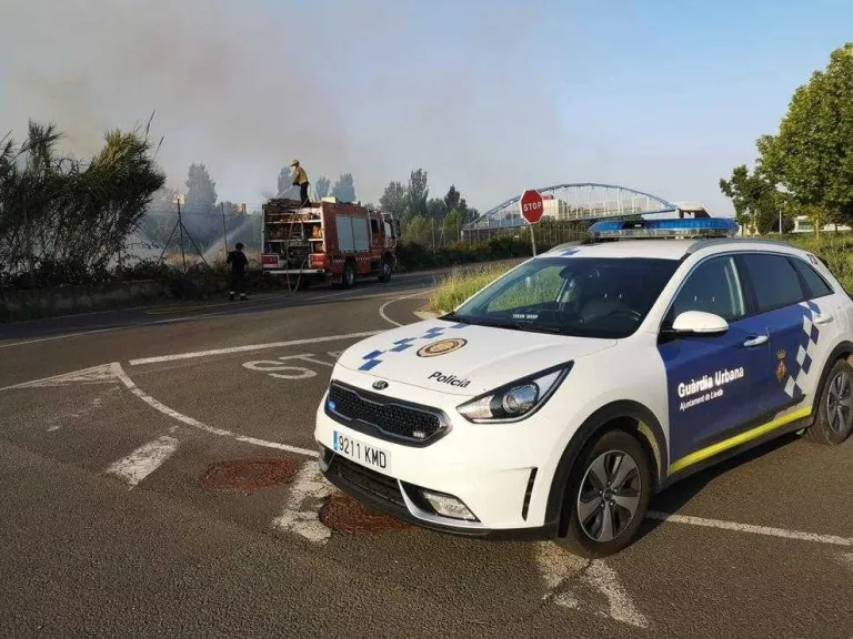 Diversos incendis calcinen més de deu hectàrees a Ponent