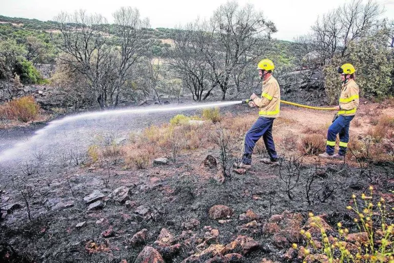 El 36 per cent dels incendis forestals del 2019 van ser causats per negligències