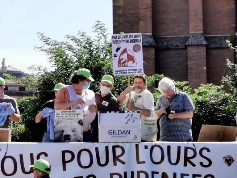 Un ramader diu que la presència de Goiat al Sobirà “espanta” el seu ramat
