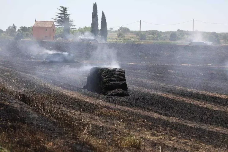 Incendis a Bell-lloc, Torrelameu i Lleida