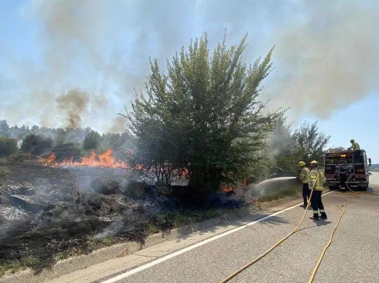 Un incendi forestal a Sanaüja arrasa 1,5 hectàrees
