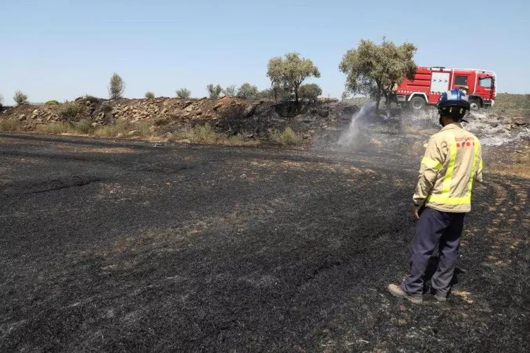 Incendi de vegetació agrícola a la Sentiu de Sió