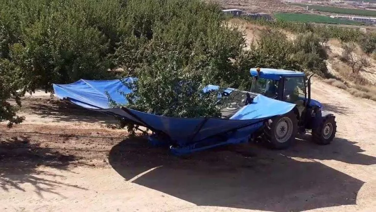 Lleida s'avança en l'obertura de la campanya de l'ametlla