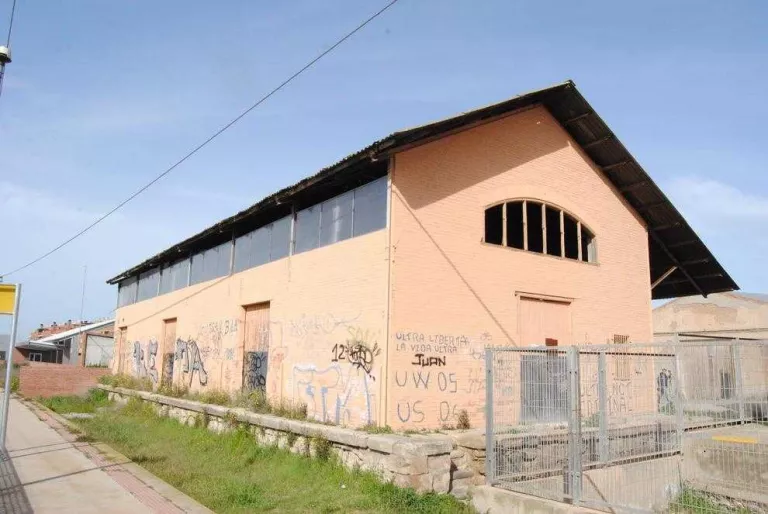 Multes als veïns de Mollerussa que donin menjar als gats de carrer sense autorització