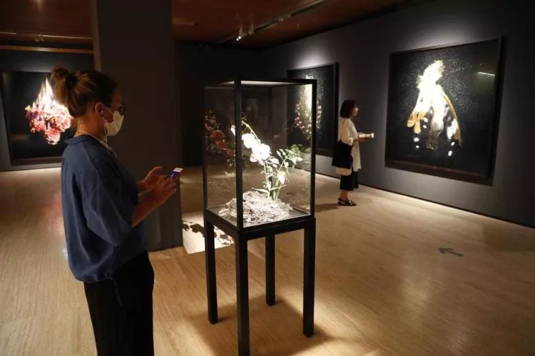 Reobre la Fundació Sorigué