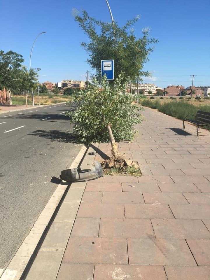 Busquen un xòfer per fer caure un arbre amb el cotxe a Alcarràs