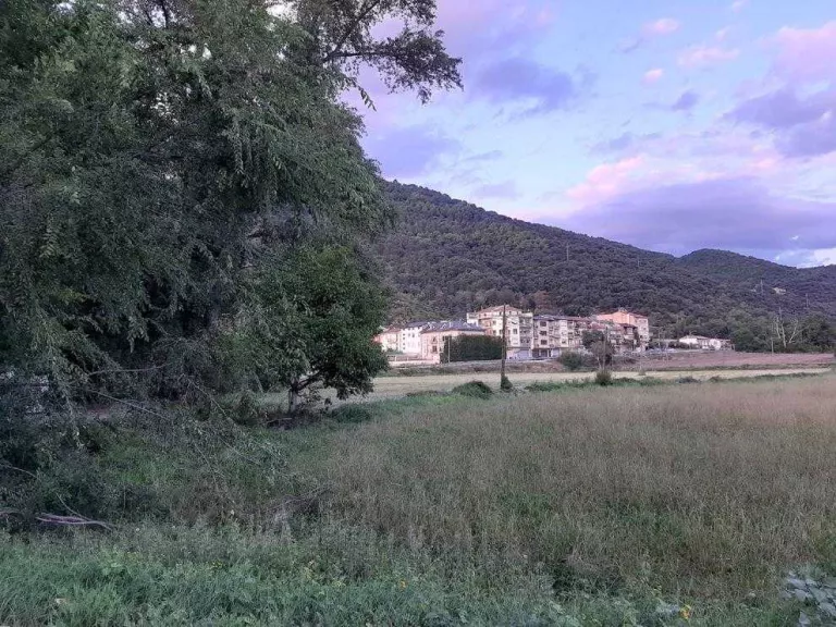 La Seu estudia 2 finques municipals per construir-hi el nou hospital
