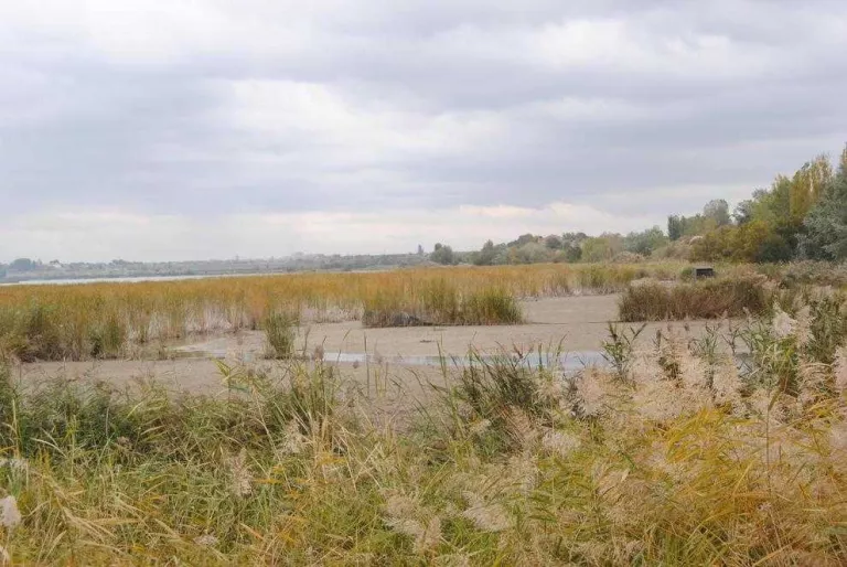 L'Estany d'Ivars i Vila-sana comença a buidar-se