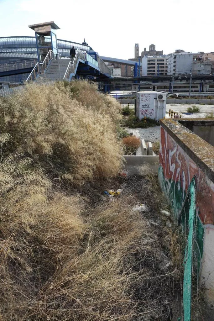 La Paeria ordena a Adif arreglar l'entorn de l'estació, ple d'herbes i residus