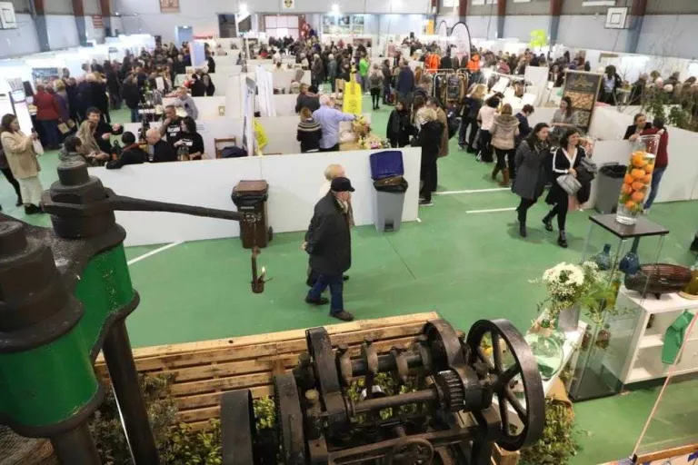 Impulsen l'oleoturisme amb 38 activitats en 5 comarques
