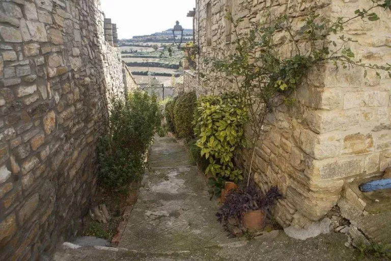Renoven el carrer de les Flors de Vilagrasseta