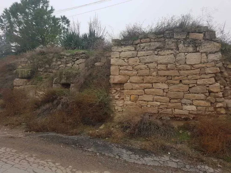 Protecció per a la Vila Romana d'Arbeca