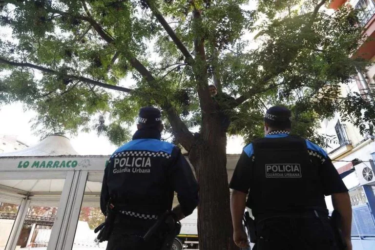 La Paeria estudia salvar l'arbre de Sant Joan