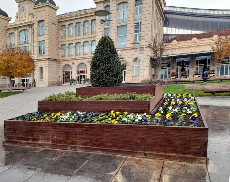 Una de les jardineres reposades amb 630 pensaments, a l’estació de Renfe.