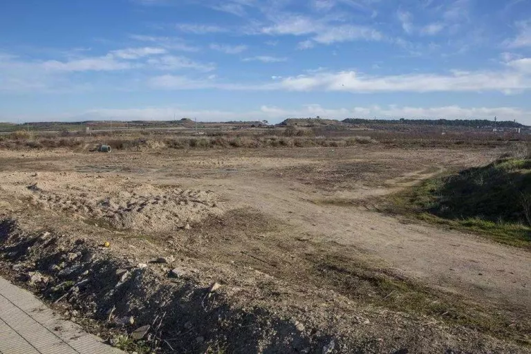 El parc botànic d'ametllers a Vilagrassa serà una realitat aquest any