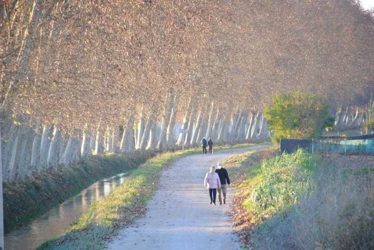 Mollerussa impulsarà vies verdes cap a l'estany i la banqueta