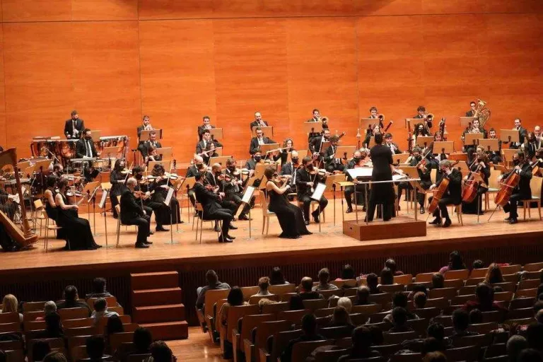 Cine a tot ritme amb l'Orquestra Camera Musicae a l'Auditori de Lleida