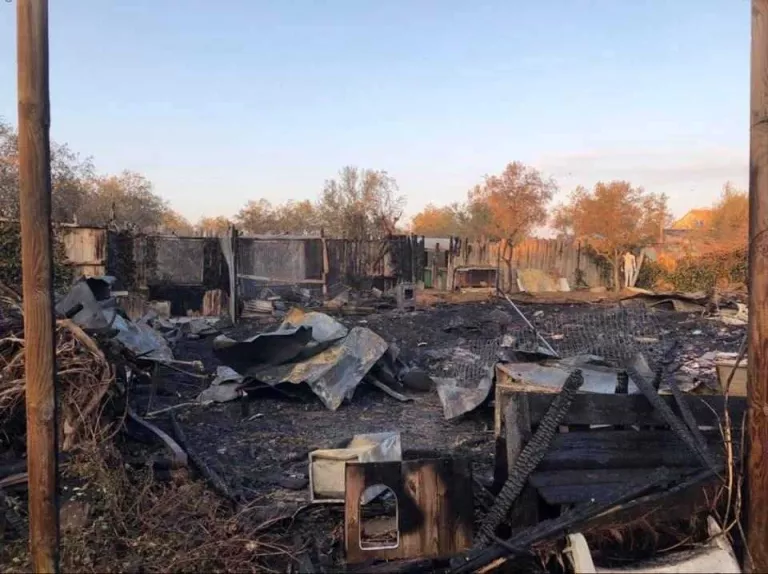 El foc a la protectora de la Mata de Pinyana calcina la zona de cures