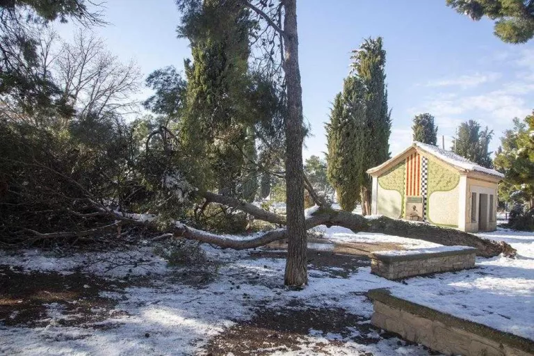 Arbres bolcats i branques partides al Parc de Sant Eloi després de la nevada