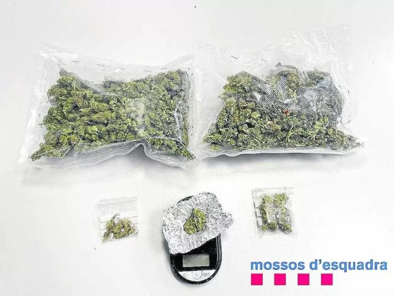 Detinguts a la Bordeta per tràfic de marihuana