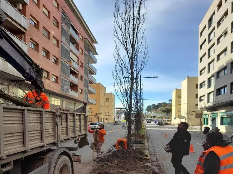 La Paeria plantarà 1.433 arbres i 1.000 arbustos durant l'hivern
