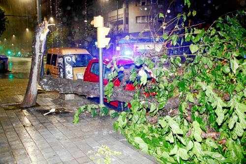 Una intensa tempesta de pluja i vent arrenca teulats, tomba arbres i ensorra un magatzem a Lleida