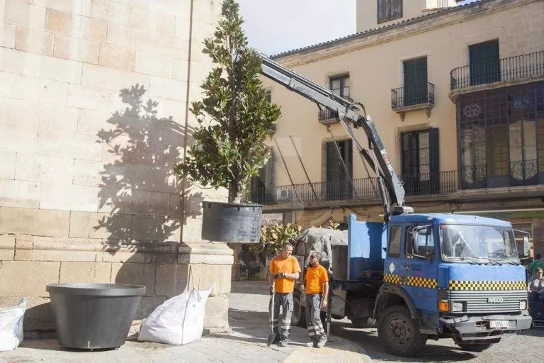 Tàrrega ultima la instal·lació de mobiliari a la plaça Major