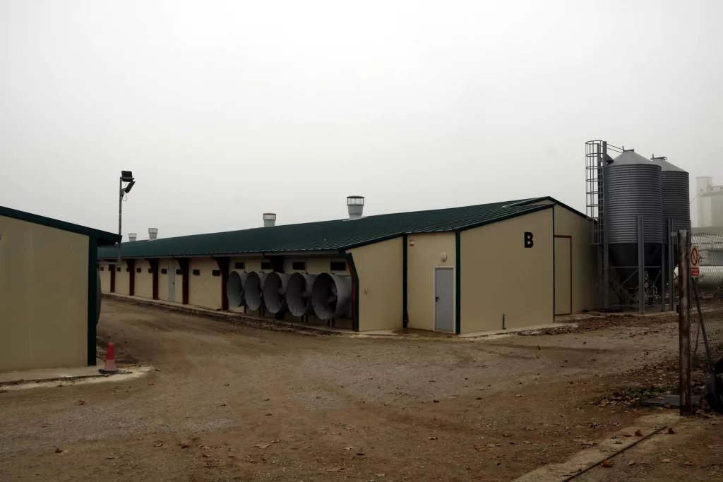 ⏯️ Inspeccionen les granges situades a la zona de vigilància pel cas de grip aviària d'Arbeca