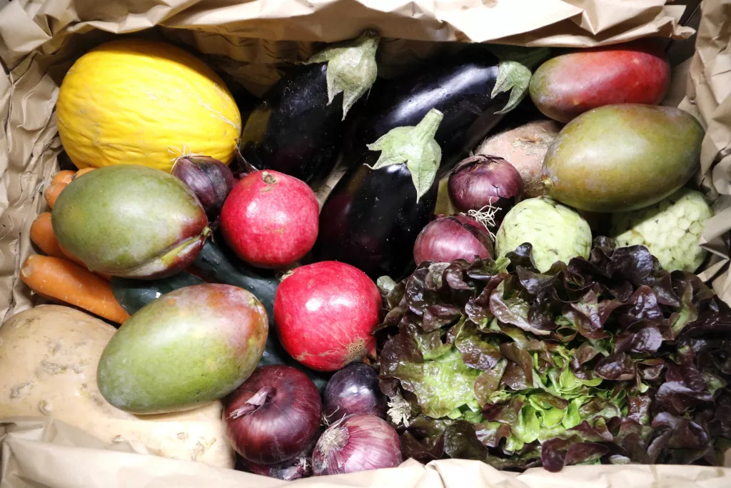 ⏯️ Dos emprenedors rescaten del malbaratament més de 775.000 quilos d'aliments "imperfectes"