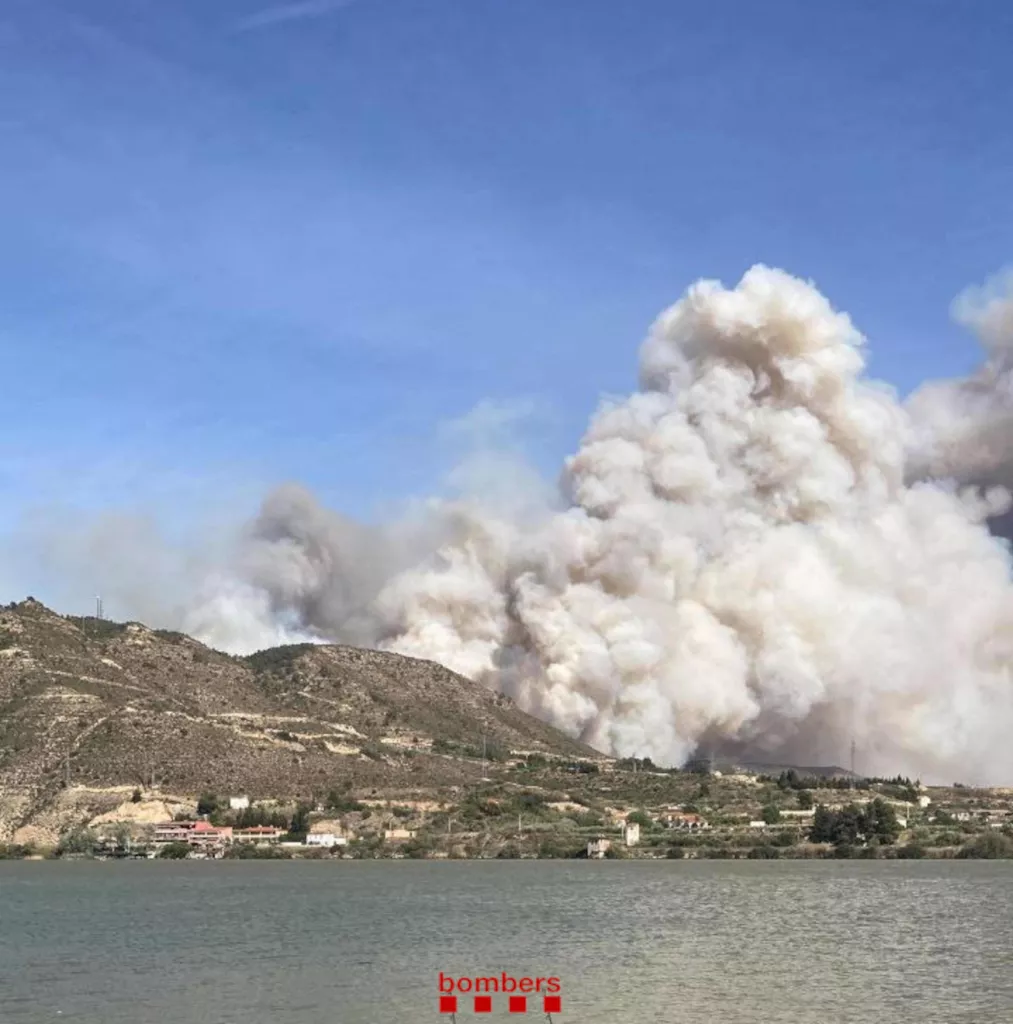 ⏯️ Estabilitzat l'incendi forestal de la Franja