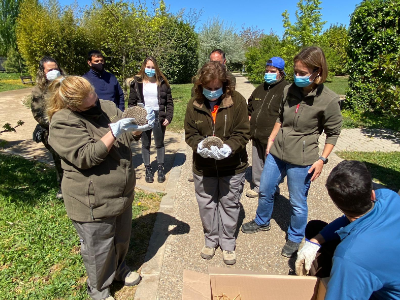 Alliberament d'eriçons a l'Arborètum-Jardí Botànic de Lleida
