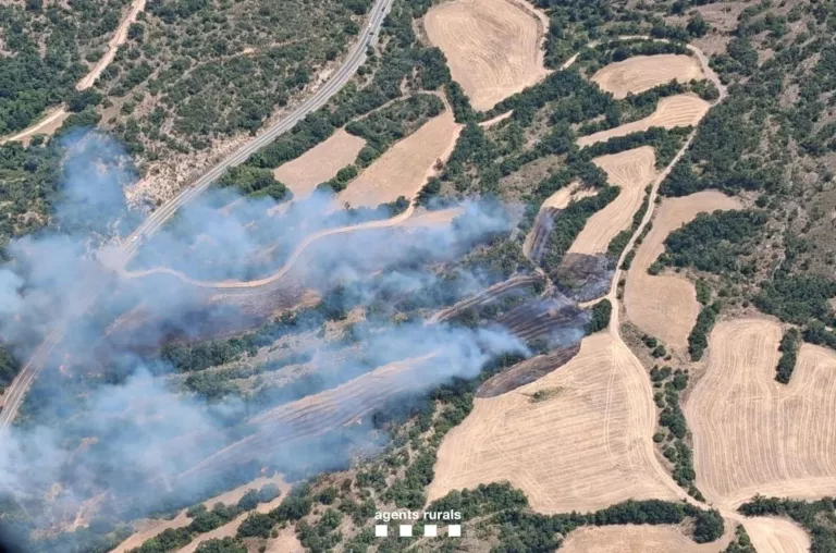 L'incendi a Camarasa afecta 19 hectàrees i entra a l'espai natural protegit de l'Aiguabarreig Segre-Noguera Pallaresa