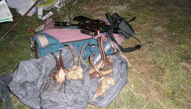 Els Agents Rurals actuen contra una xarxa organitzada de furtius d'isards al Pirineu