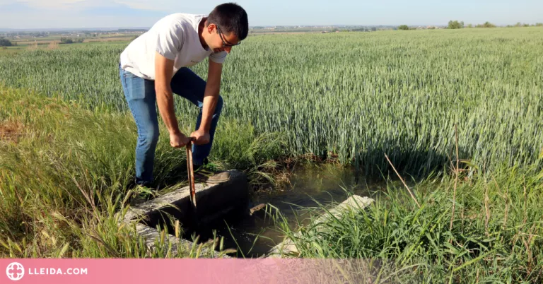 ⏯️ Últims regs del canal d'Urgell, un tancament històric amb perspectives "molt dolentes"