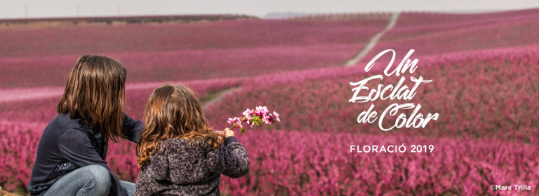 L'espectacle floral al Baix Segrià, un esclat de colors naturals
