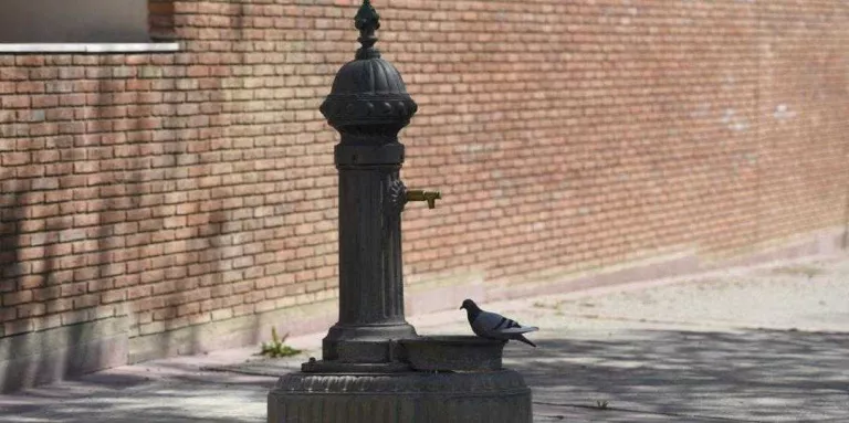 La Paeria reobre la majoria de les fonts públiques d’aigua potable de Lleida