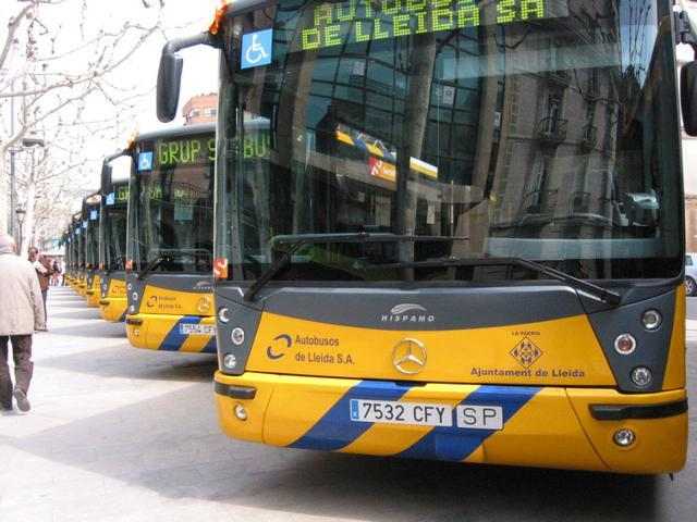 Servei gratuït de transport adaptat per a les eleccions del 26 de maig