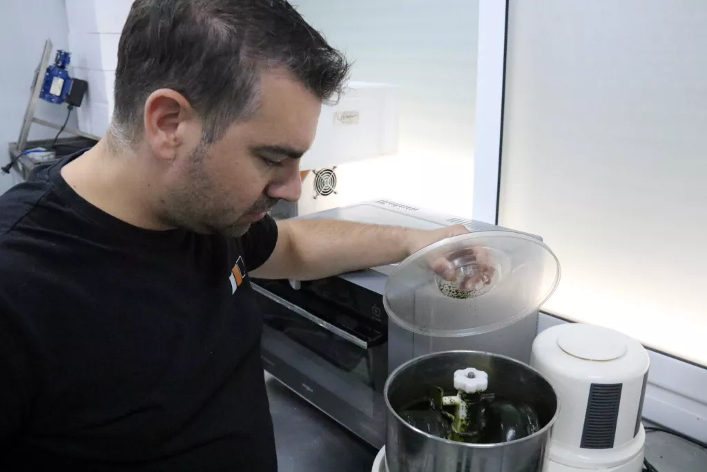 ⏯️ Creen al Segrià un bombó saludable elaborat amb cacau i espirulina que calma la gana