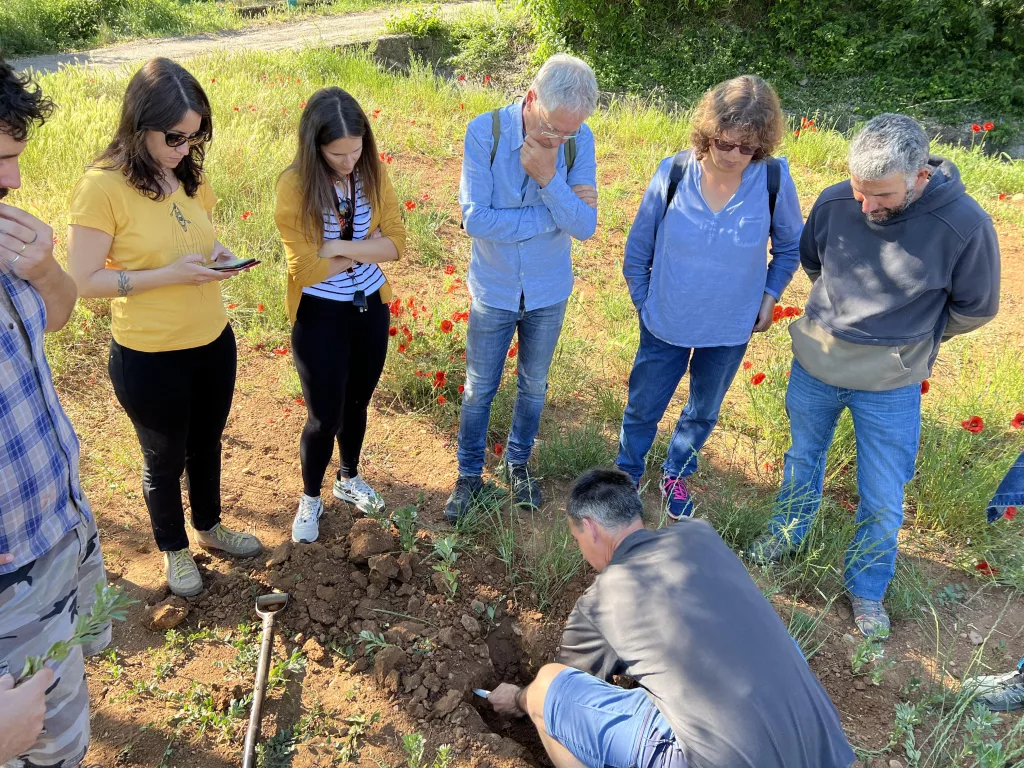 La sequera farà que els resultats de les parcel·les experimentals del Jussà "no serveixin de guia"